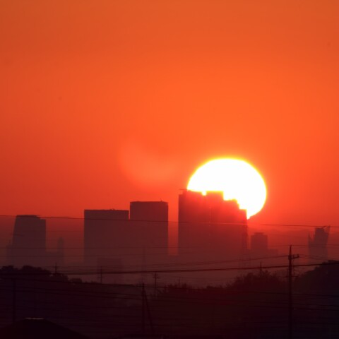 タワーズの夜明け