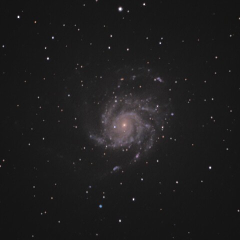 2021-4-10 M101 回転花火銀河（おおぐま座）