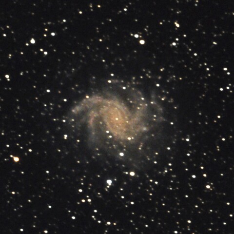 2021-4-10 NGC6946 花火銀河（ケフェウス座）