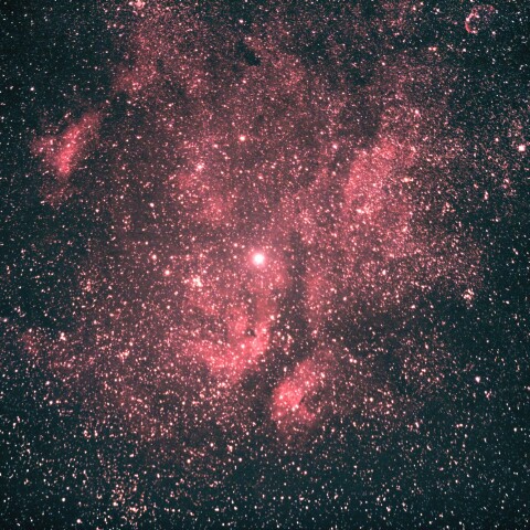 2021-5-10 サドル付近（はくちょう座）