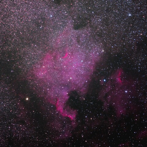 2021-5-10 北アメリカ星雲（はくちょう座）