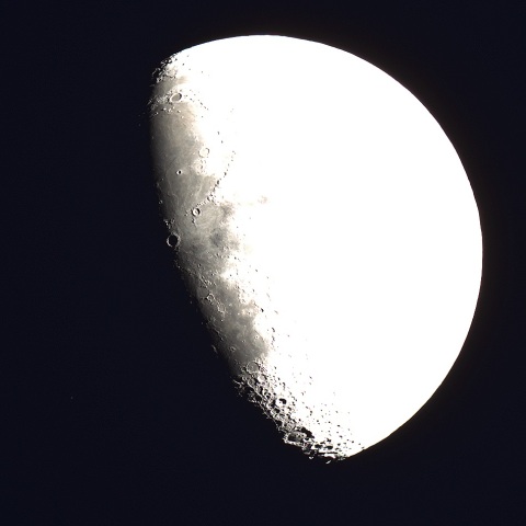 σLeo潜入、2024/5/17