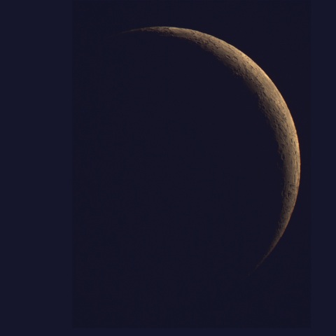 月、2026/8/15