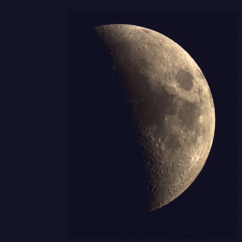 月、2026/8/19