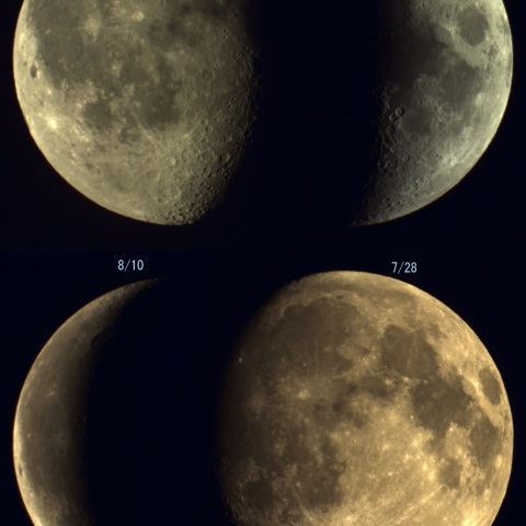 ２０１５年月の秤動４枚