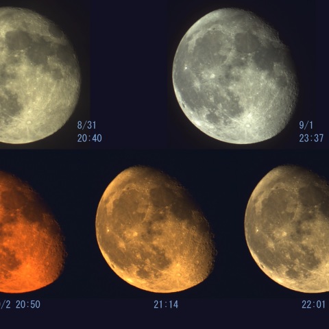 北関東皆既日食まで２０年