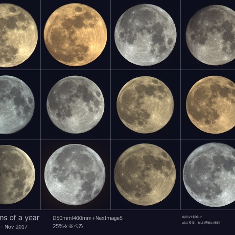 Full moons of a year 風に
