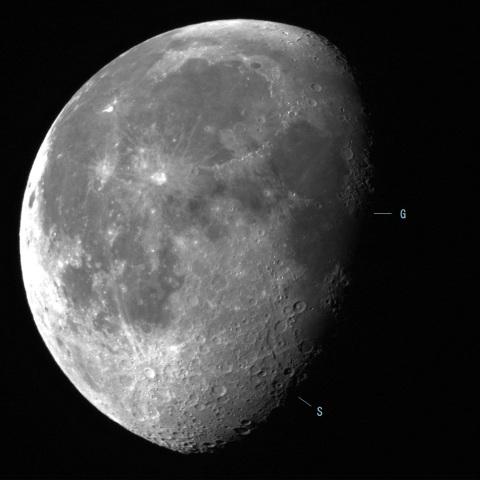 ガードナーのメガドーム