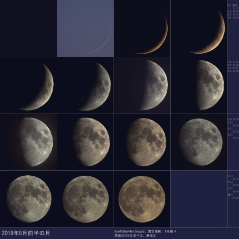 2019年8月前半の月