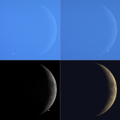 金星食、2021/11/08