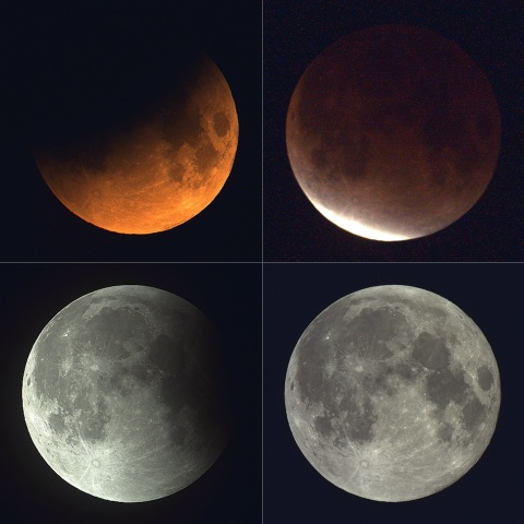 部分月食、2021/11/19