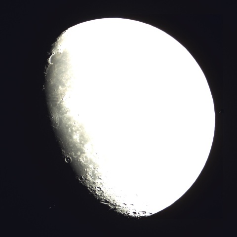 ηLeoの食、2022/4/12