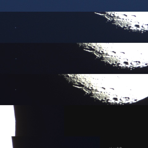 ηLeoの食、2022/4/12  別アレンジ