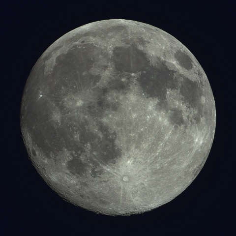 月、2023/3/6本番