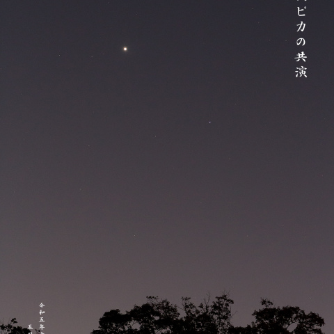 金星とスピカの共演