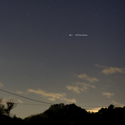 ポン・ブルックス彗星  (2024/03/08) 