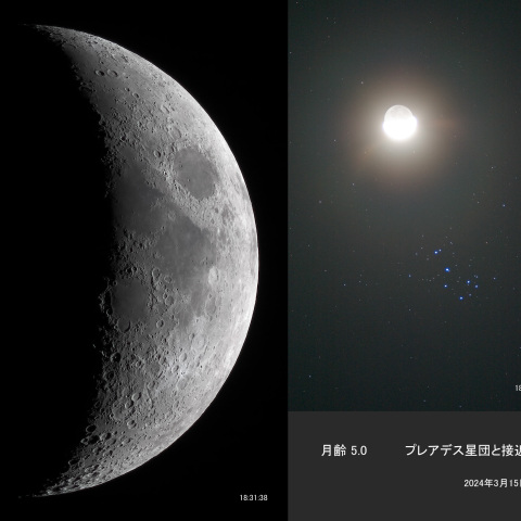 月齢 5.0　プレアデス星団と接近