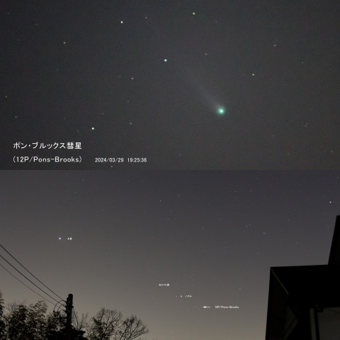 ポン・ブルックス彗星 (2024/03/29) 