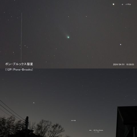 ポン・ブルックス彗星 (2024/04/01) 