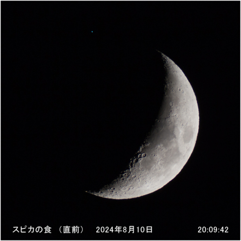 スピカの食（直前）