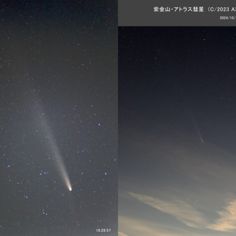 紫金山・アトラス彗星（2024/10/21）