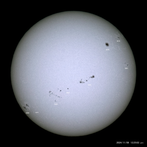 太陽黒点 (2024/11/08)