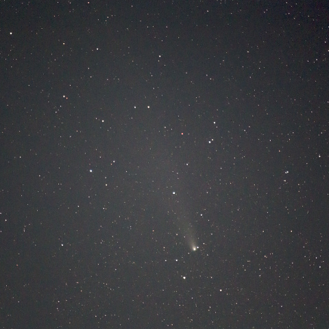 紫金山・アトラス彗星（2024/11/09）