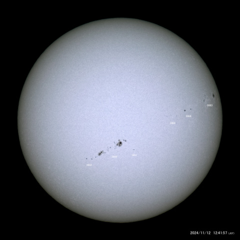 太陽黒点 (2024/11/12)