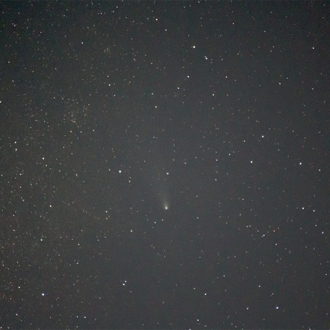 紫金山・アトラス彗星（2024/11/28）