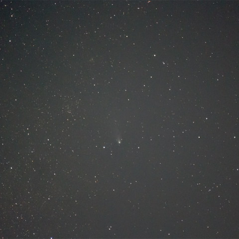 紫金山・アトラス彗星（2024/11/29）