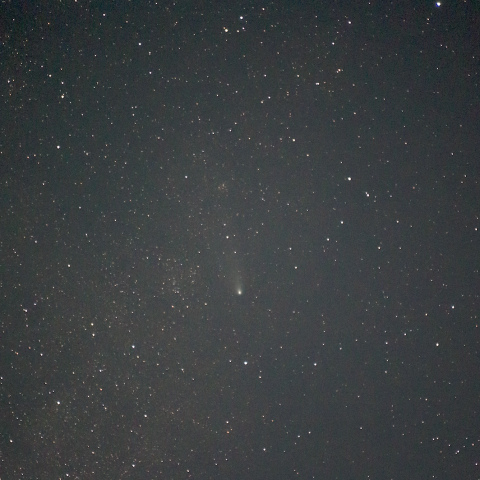 紫金山・アトラス彗星（2024/11/30）