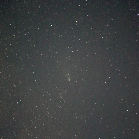 紫金山・アトラス彗星（2024/12/01）