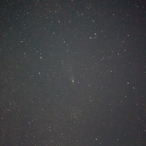 紫金山・アトラス彗星（2024/12/02）
