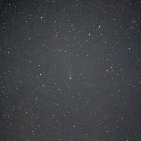 紫金山・アトラス彗星（2024/12/04）