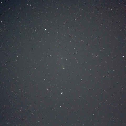 紫金山・アトラス彗星（2024/12/05）