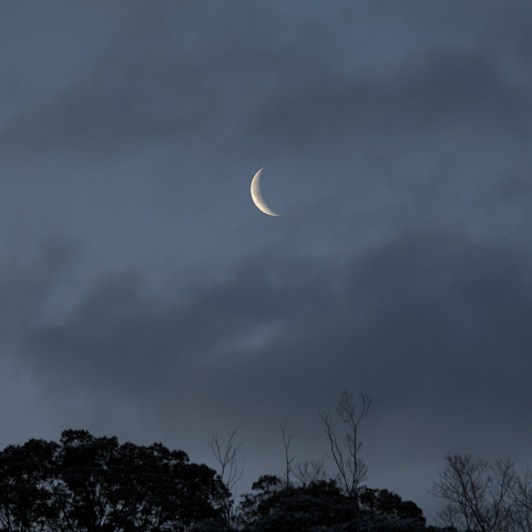 雲に霞む 有明の月