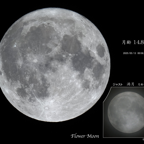 満月（フラワームーン）