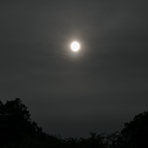 初夏の深夜におぼろ月
