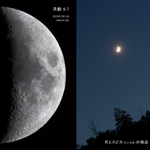 117804: 満月（月齢 13.8 ）月とポルックス＆火星の接近 1/14