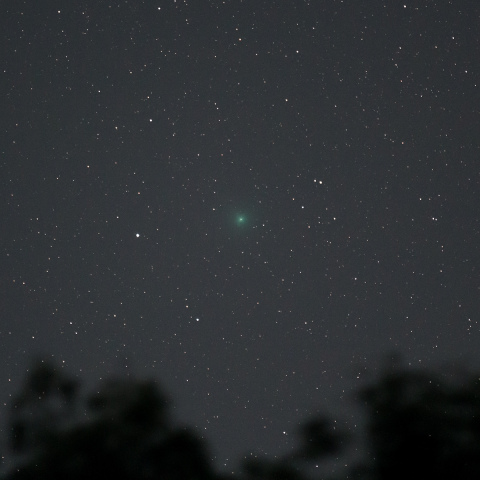 スワン彗星 (C/2025 R2)