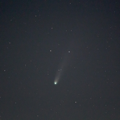 レモン彗星 (C/2025 A6)