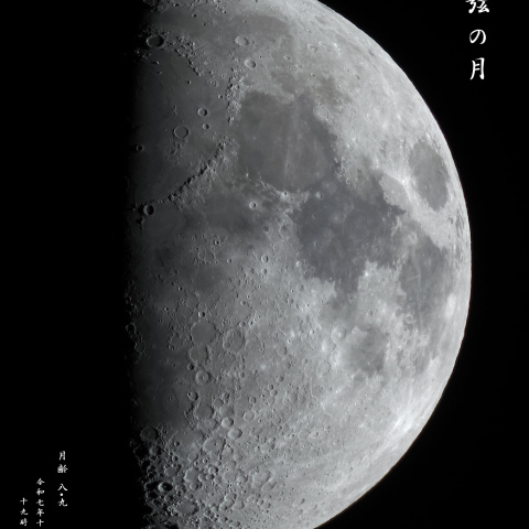 上弦の月(月齢 8.9)