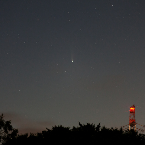 レモン彗星 (C/2025 A6) 11/3