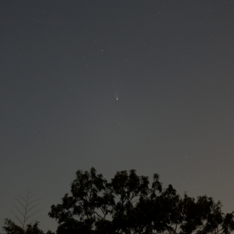 レモン彗星 (C/2025 A6) 11/6