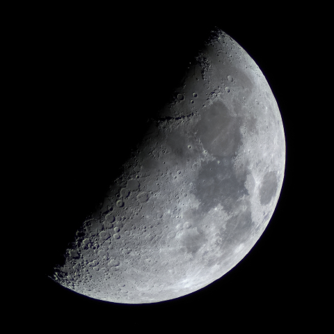 上弦の月(月齢 8.1)