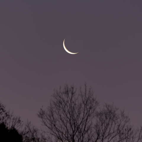 有明の月 (月齢 26.6) 