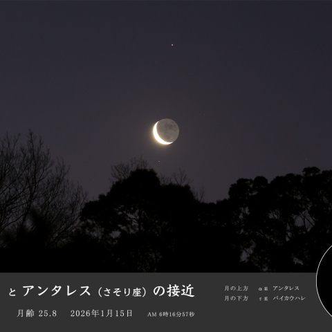 有明の月（月齢25.8）とアンタレスの接近