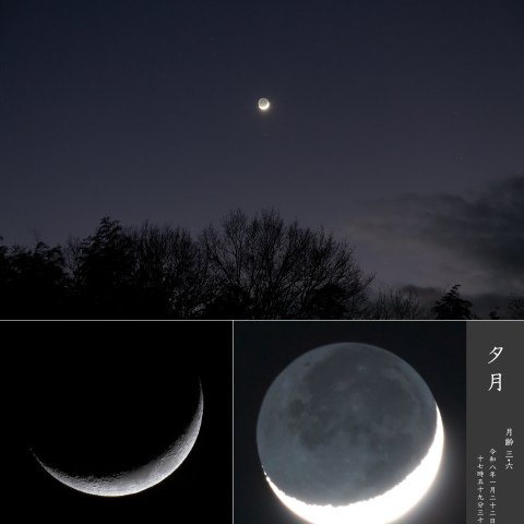 夕月（月齢 3.6）