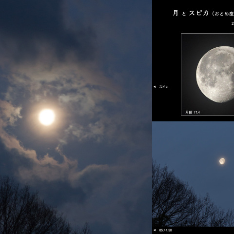 月（月齢 17.4）と スピカ（おとめ座 α星）の接近