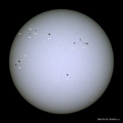 太陽黒点 (2026/03/29)